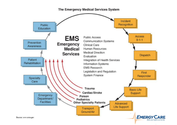 The Emergency Medical Service System2